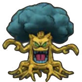 ちょうろうじゅ