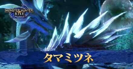 モンハンライズ タマミツネの弱点と攻略方法 ゲームエイト