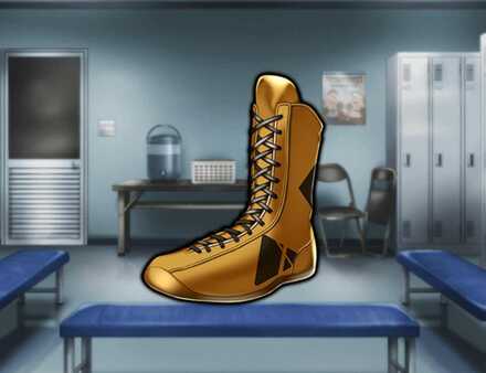 ゴールデンシューズ★5の画像