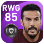 FPペドロ(1/11)の画像