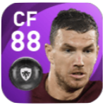 FPエディン・ジェコ(1/11)の画像