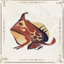 ボムガスガエル