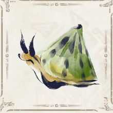 アメフリツブリ