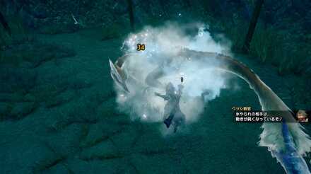 雪石コロガシの使い方