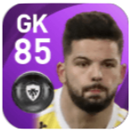 FPゴーティエ・ラルソンヌル(1/14)の画像