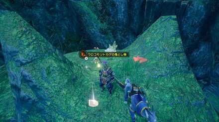 モンスターの素材を入手できる