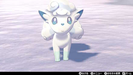 アローラロコン