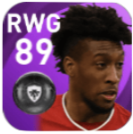 FPキングスレイ・コマン(1/18)の画像