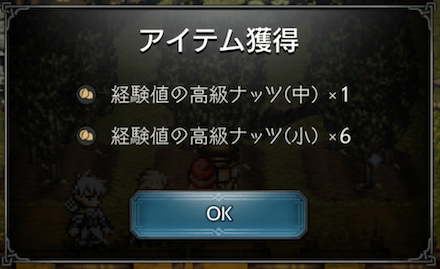 ナッツ畑の収穫