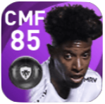 FPチェチェ(1/21)の画像