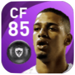 FPブレンネル(1/21)の画像