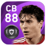 FPヴィクトル・リンデレフ(1/25)の画像