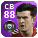 FPハリー・マグワイア(1/25)の画像