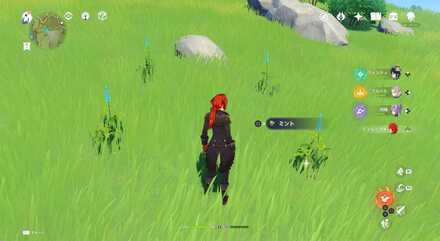 フィールドの至る所1