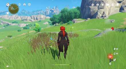 フィールドの至る所3