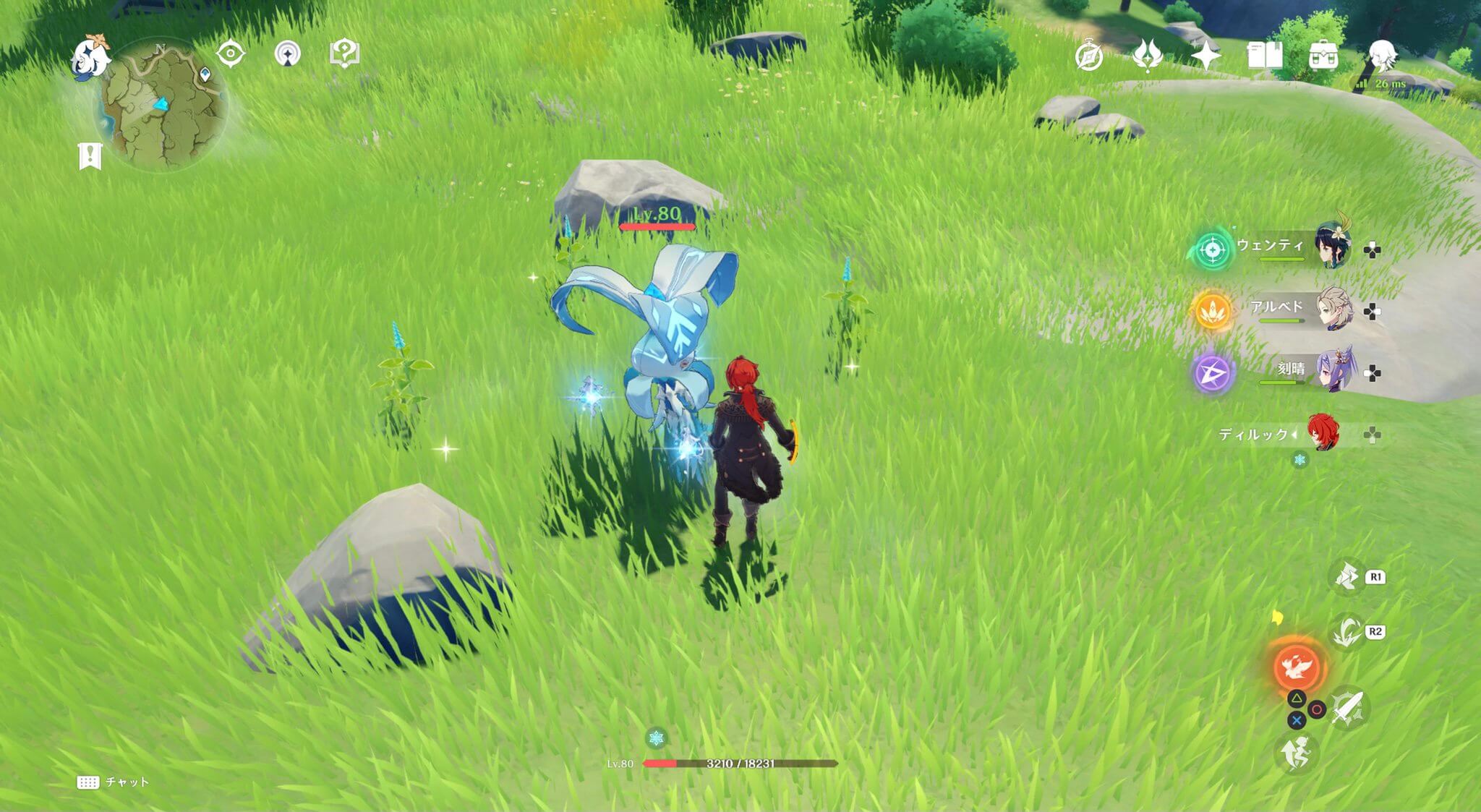 ミントが4つ固まっている場所