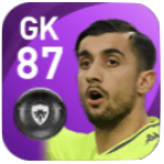 FPマッティア・ペリン(1/28)の画像