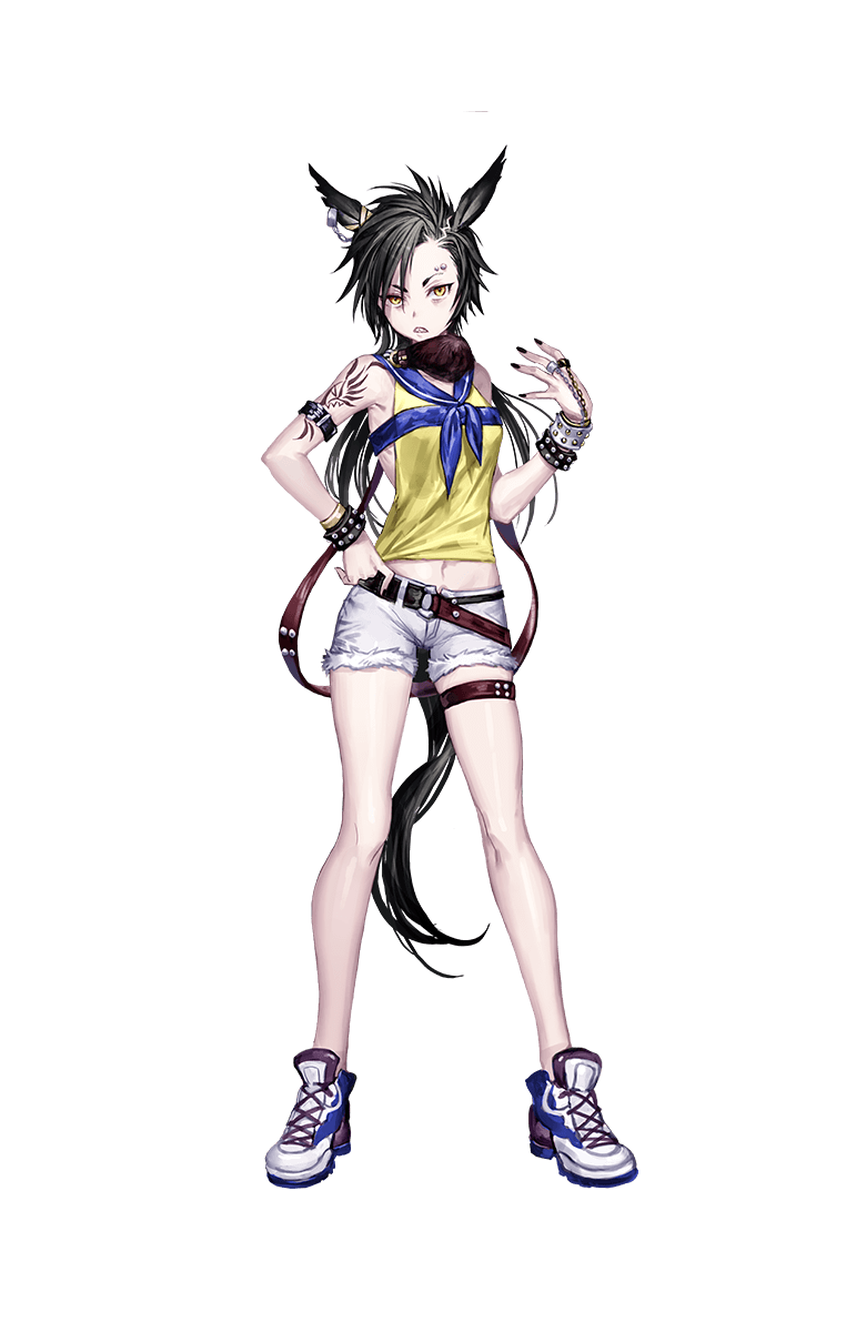 エアシャカールの勝負服画像