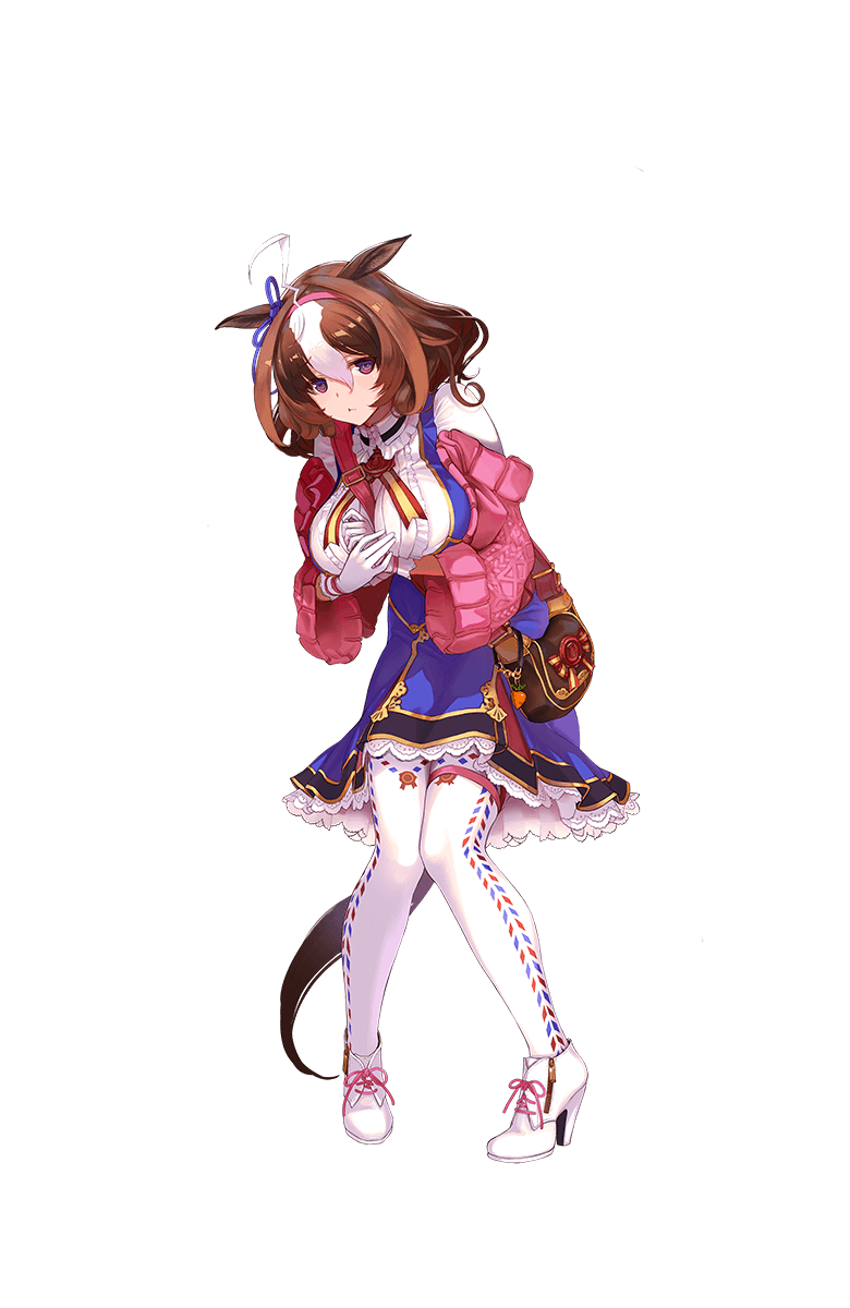 メイショウドトウの勝負服画像