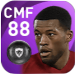 FPジョルジニオ・ワイナルドゥム(2/1)の画像