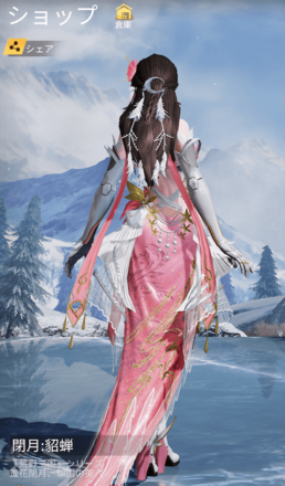 閉月：貂蝉画像