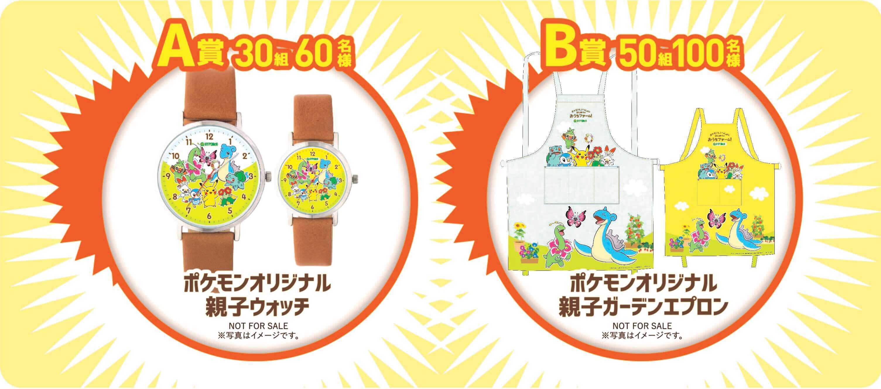 キャンペーン商品