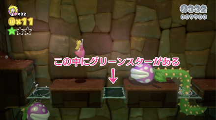 4-2グリーンスター2画像