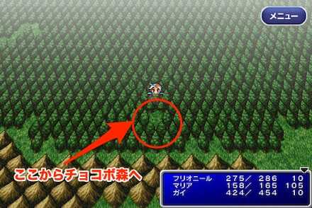 チョコボの森場所