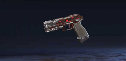 目標補足の画像