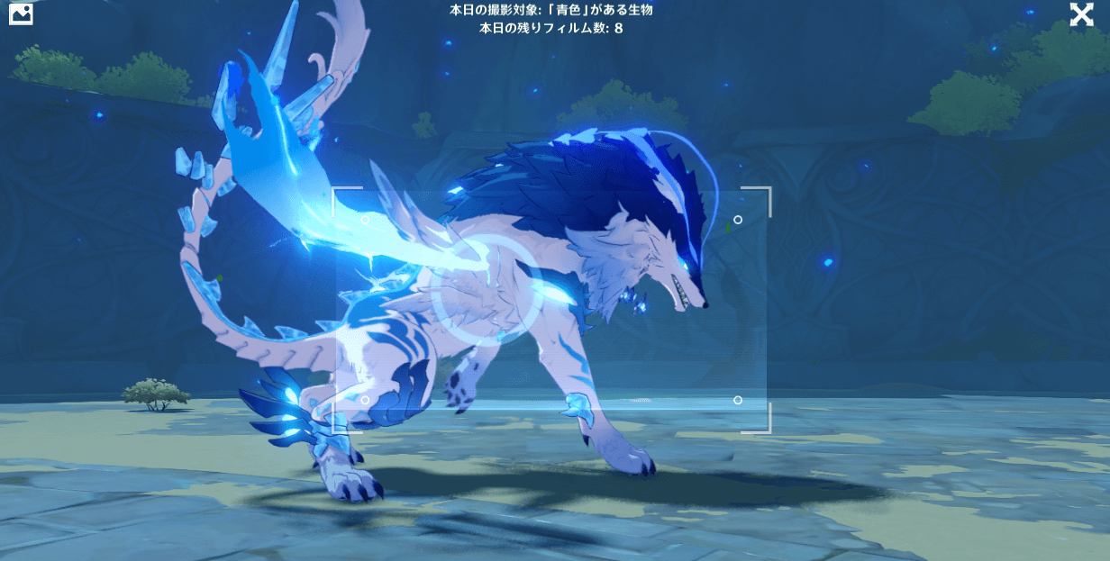 青色のある生物