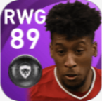 FPキングスレイ・コマン(2/8)の画像