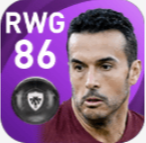 FPペドロ(2/8)の画像