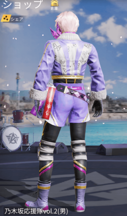 乃木坂応援隊vol.2画像