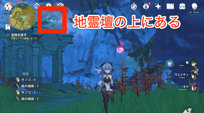 奥蔵山の貴重な宝箱をゲット