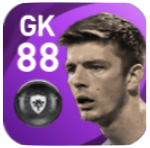 FPニコラス・ポープ(2/11)の画像