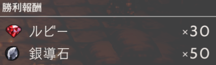 鎧自慢の聖火騎士の報酬(3戦目)