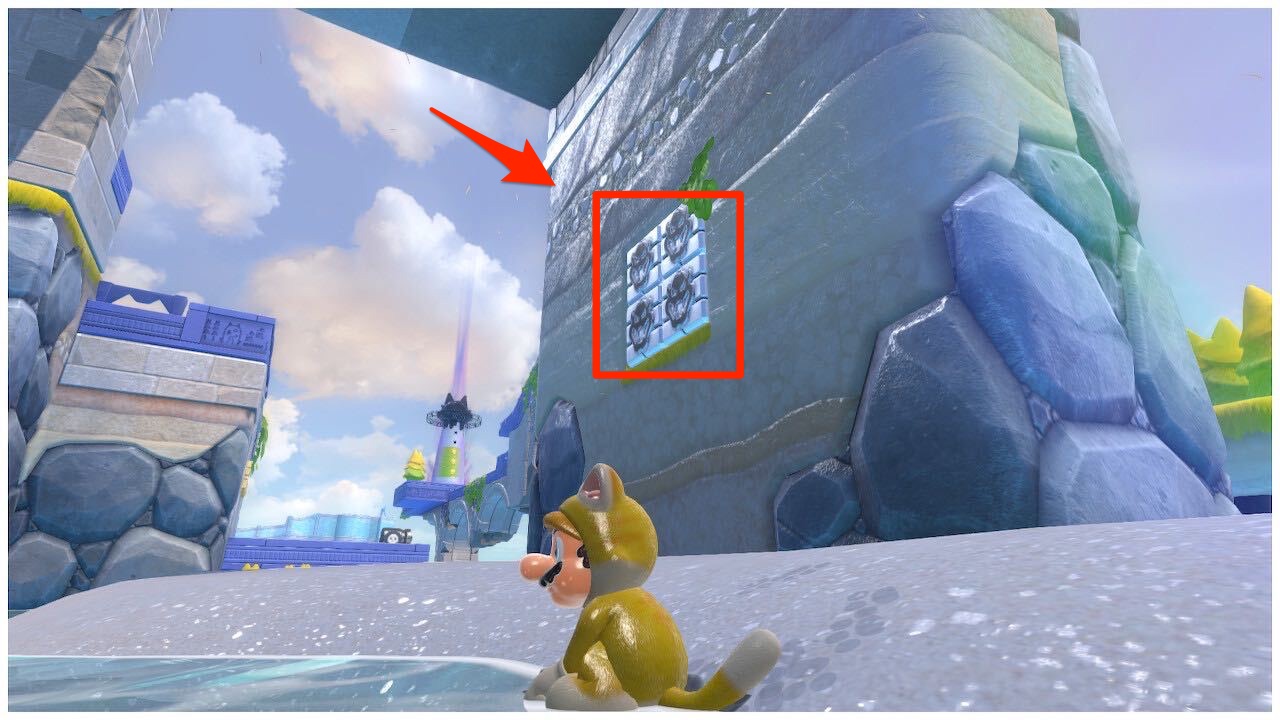 熱戦で発掘!ネコシャイン