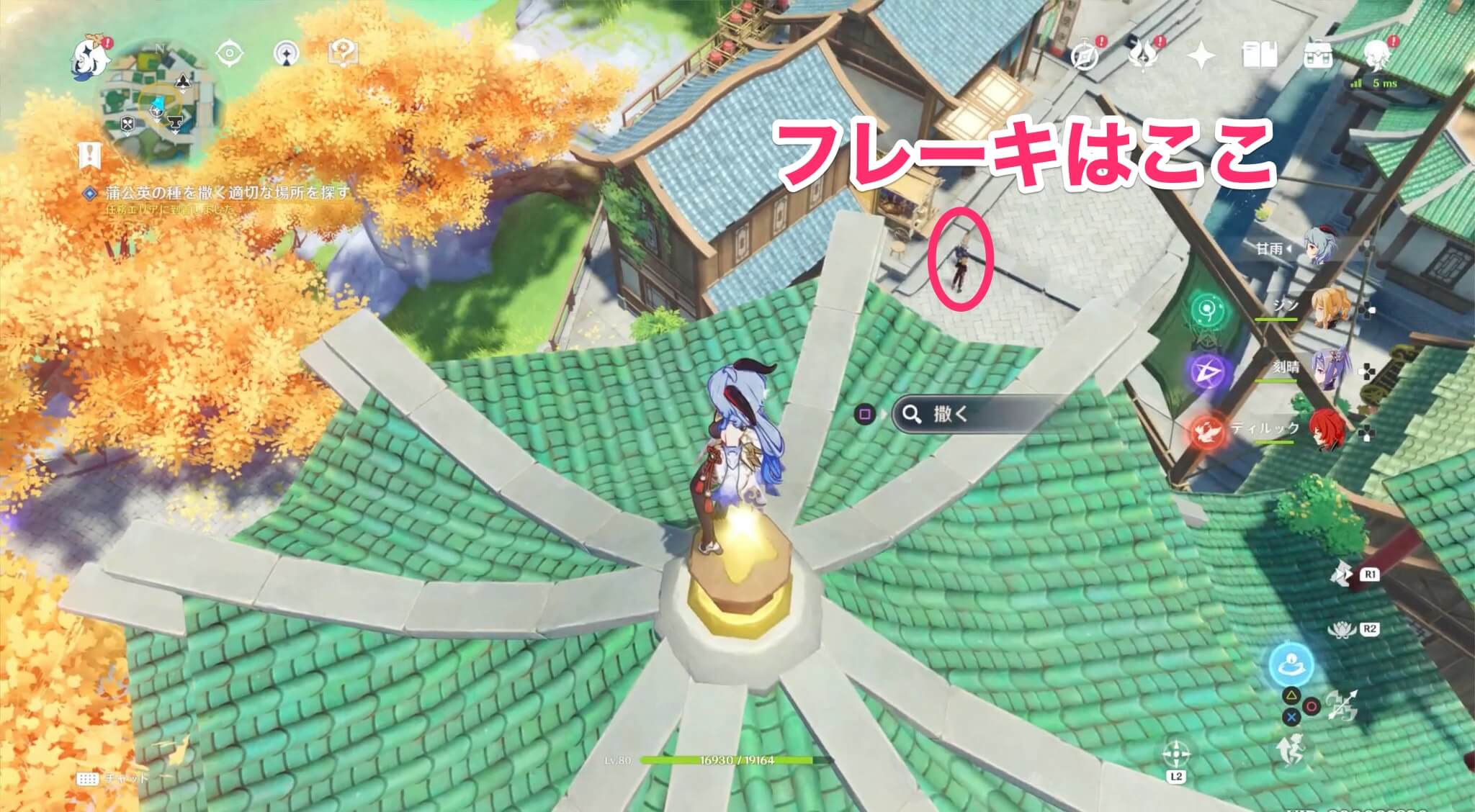 蒲公英の種を撒く適切な場所