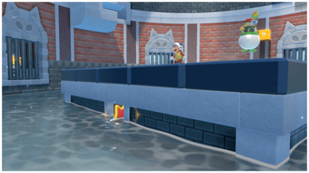 コロッセオのネコシャインチップ3