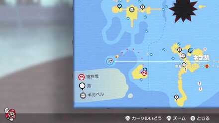 離島のネコシャイン