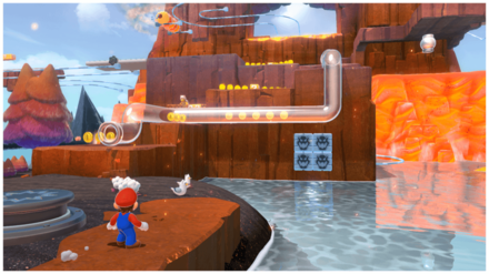 熱戦で発掘！ネコシャイン