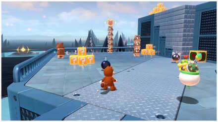 ネコシャインチップ③