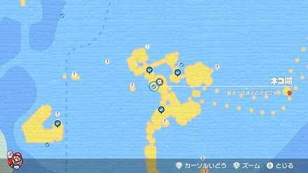 はまべの迷子の子ネコちゃん