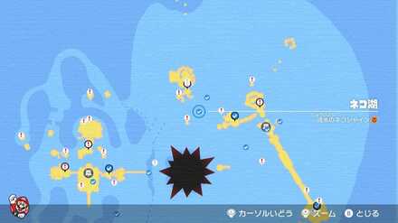 流氷のネコシャイン