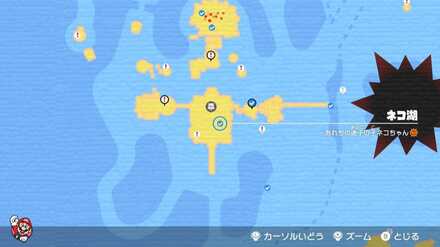 あれちの迷子の子ネコ