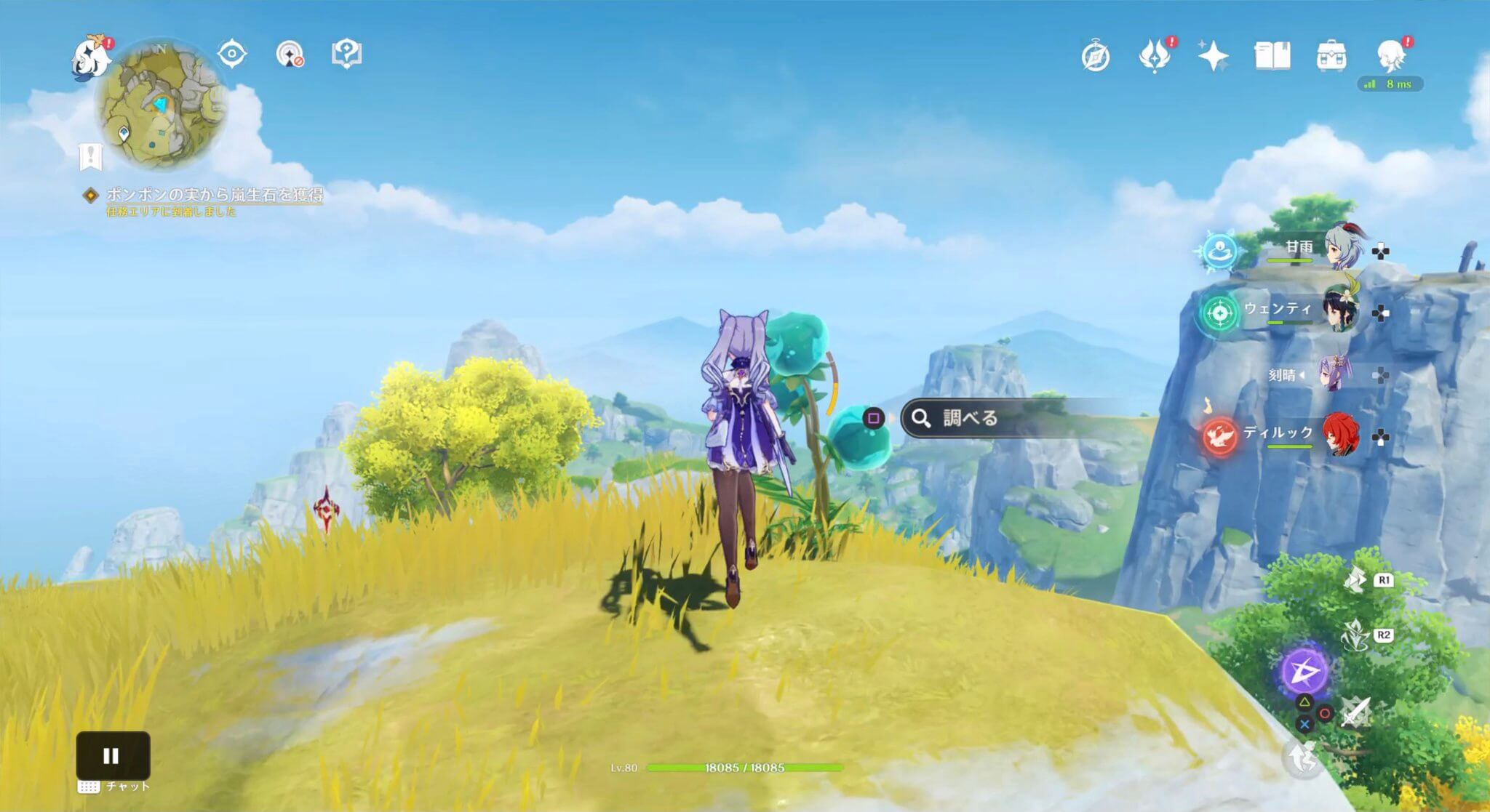 ポンポンの実から嵐生石を獲得