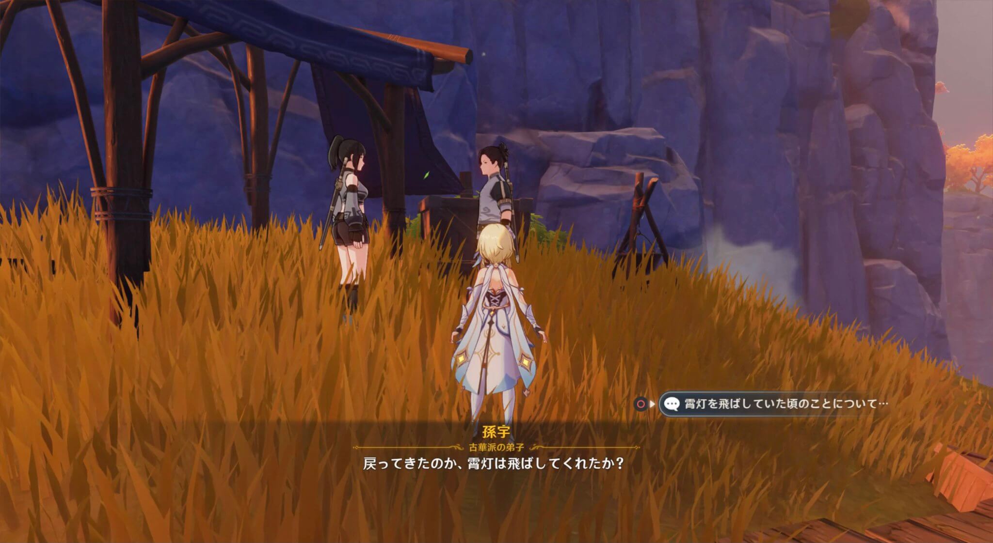 孫字と小鳥に報告する