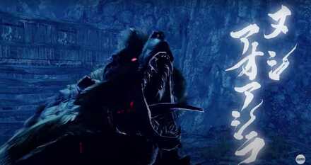 ヌシアオアシラ