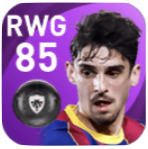 FPトリンコン(2/18)の画像