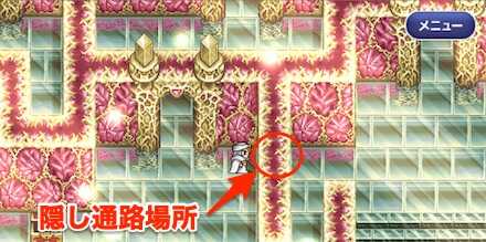 謎の迷宮6F隠し通路②